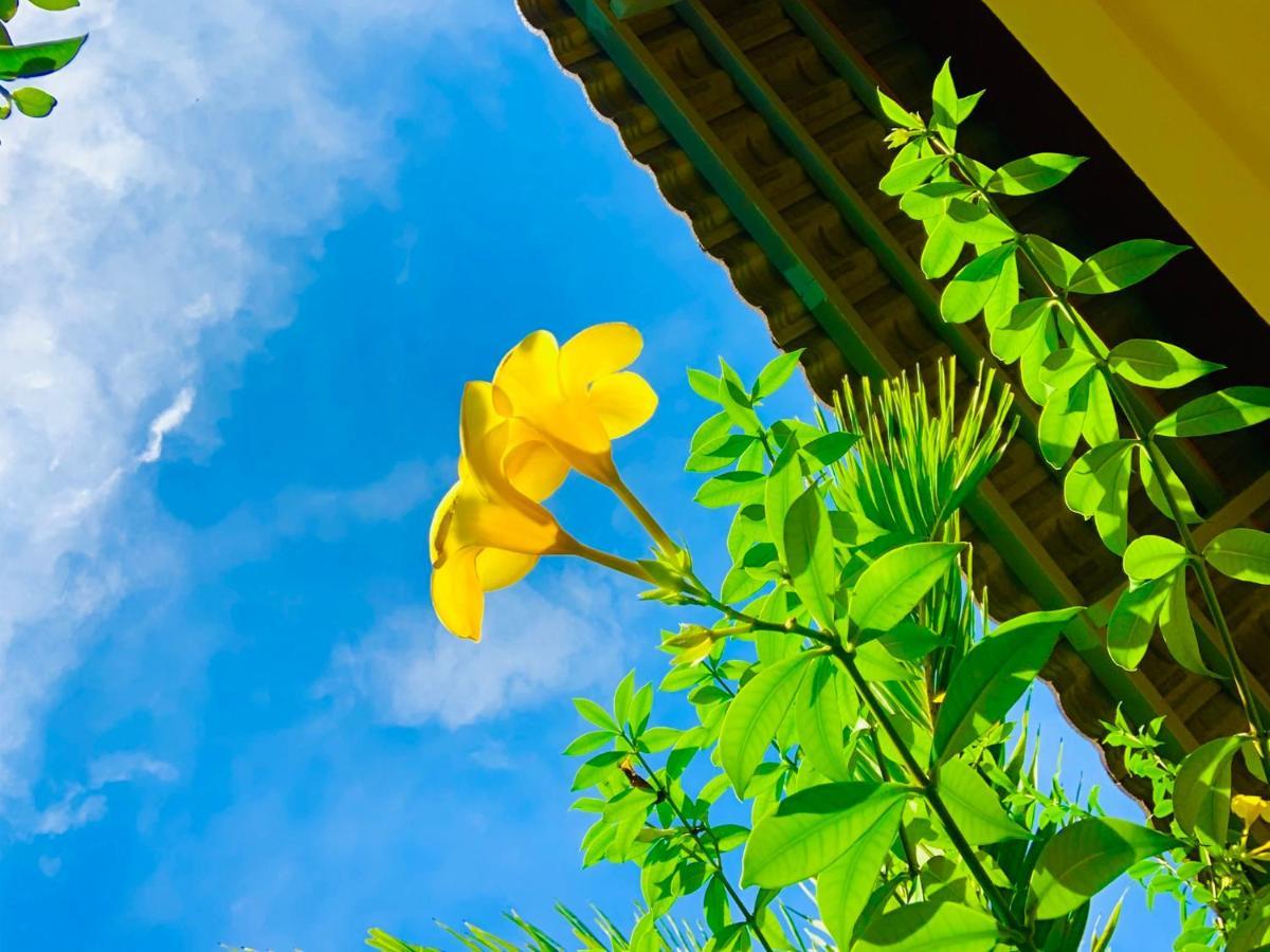 Canary Bungalow Phú Quốc-sziget Kültér fotó